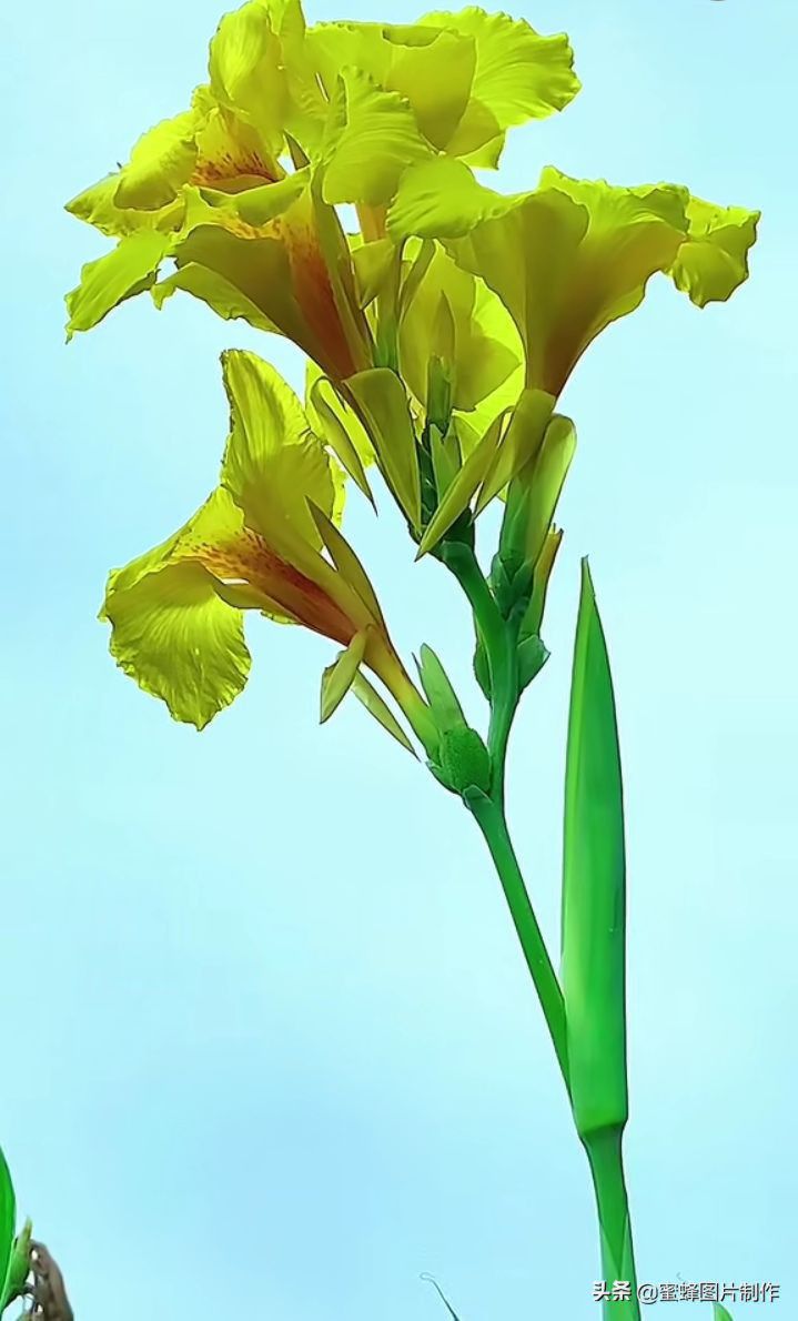山清水秀，美景壁纸头像美图
