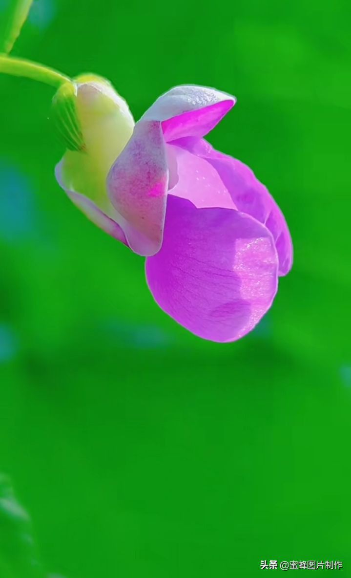 山清水秀，美景壁纸头像美图