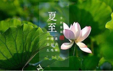 “初头夏至十头割，十头夏至两头割”，割啥？初头和十头何解？
