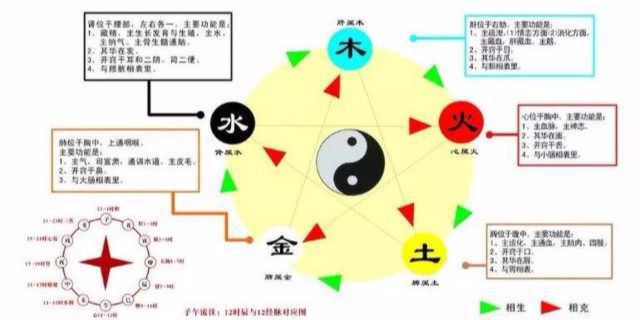 五脏要健康，五行先平衡！中医讲五行与五脏的关系，你知道多少？