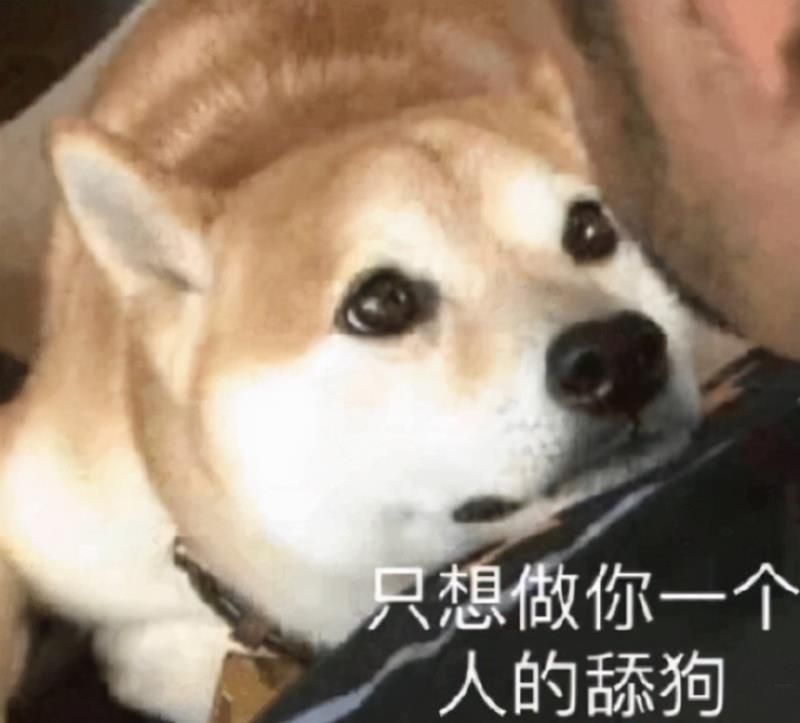 靠谱的免费交友软件有哪些