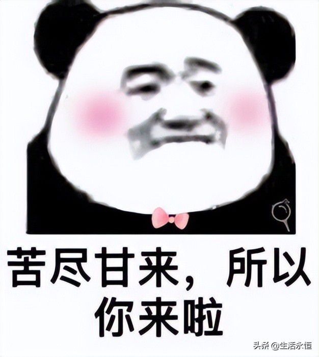 交友软件免费聊天的有哪些