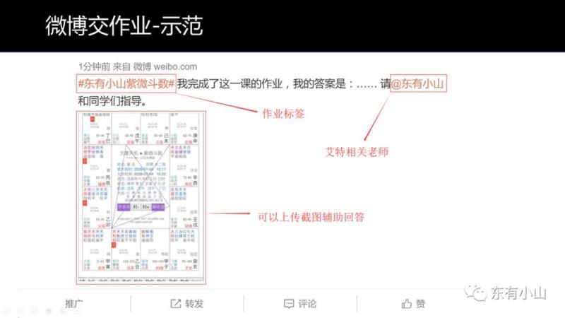 紫微斗数第37课：案例十三③（子女情况、眉毛、大限、大运）