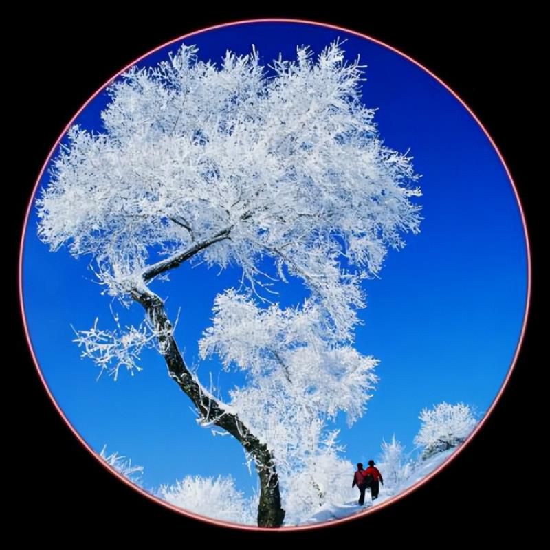 适合中年女性的昵称和头像，和别人不重名