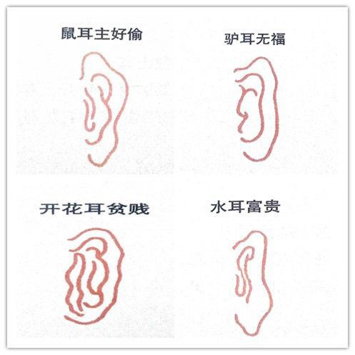 面相小知识，火眼金睛识渣男