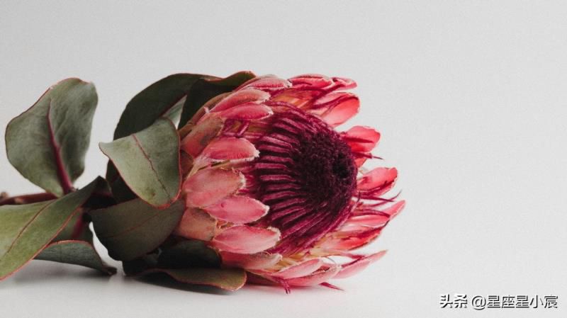 如何快速解读一张星盘？读懂基本三元，就能看懂一个人