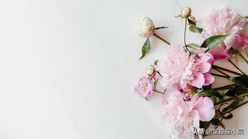 如何快速解读一张星盘？读懂基本三元，就能看懂一个人