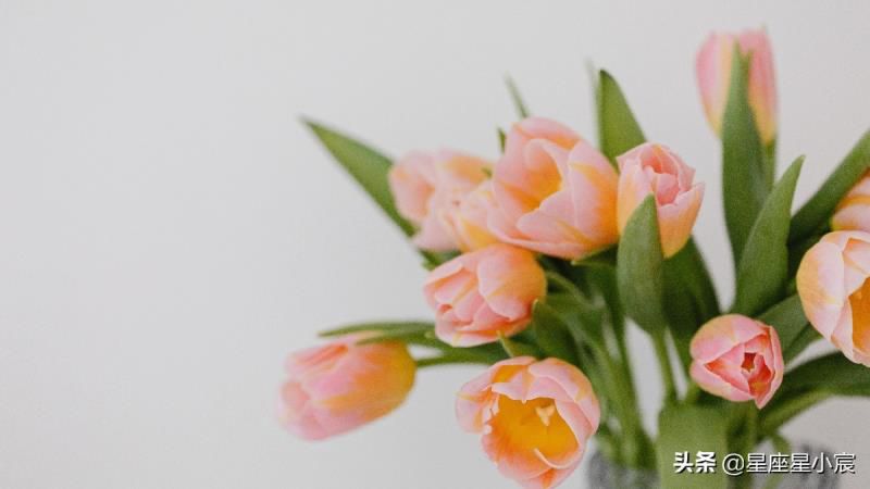 如何快速解读一张星盘？读懂基本三元，就能看懂一个人