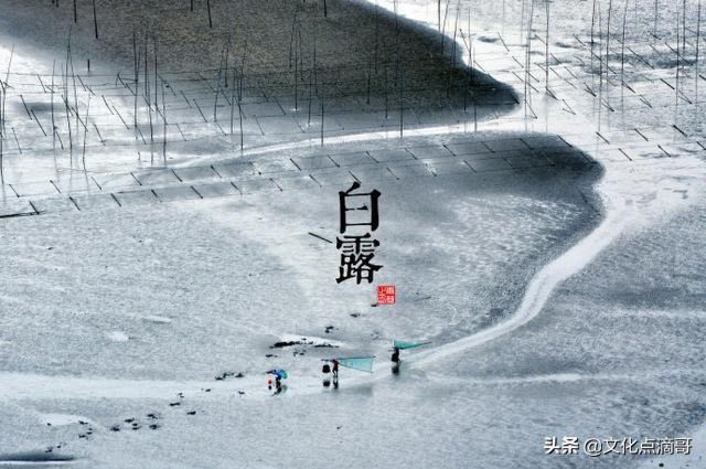 十二生肖和二十四节气有什么关系？