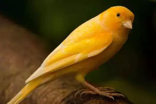 从你的生日看你是怎样的一个人！准得可怕！