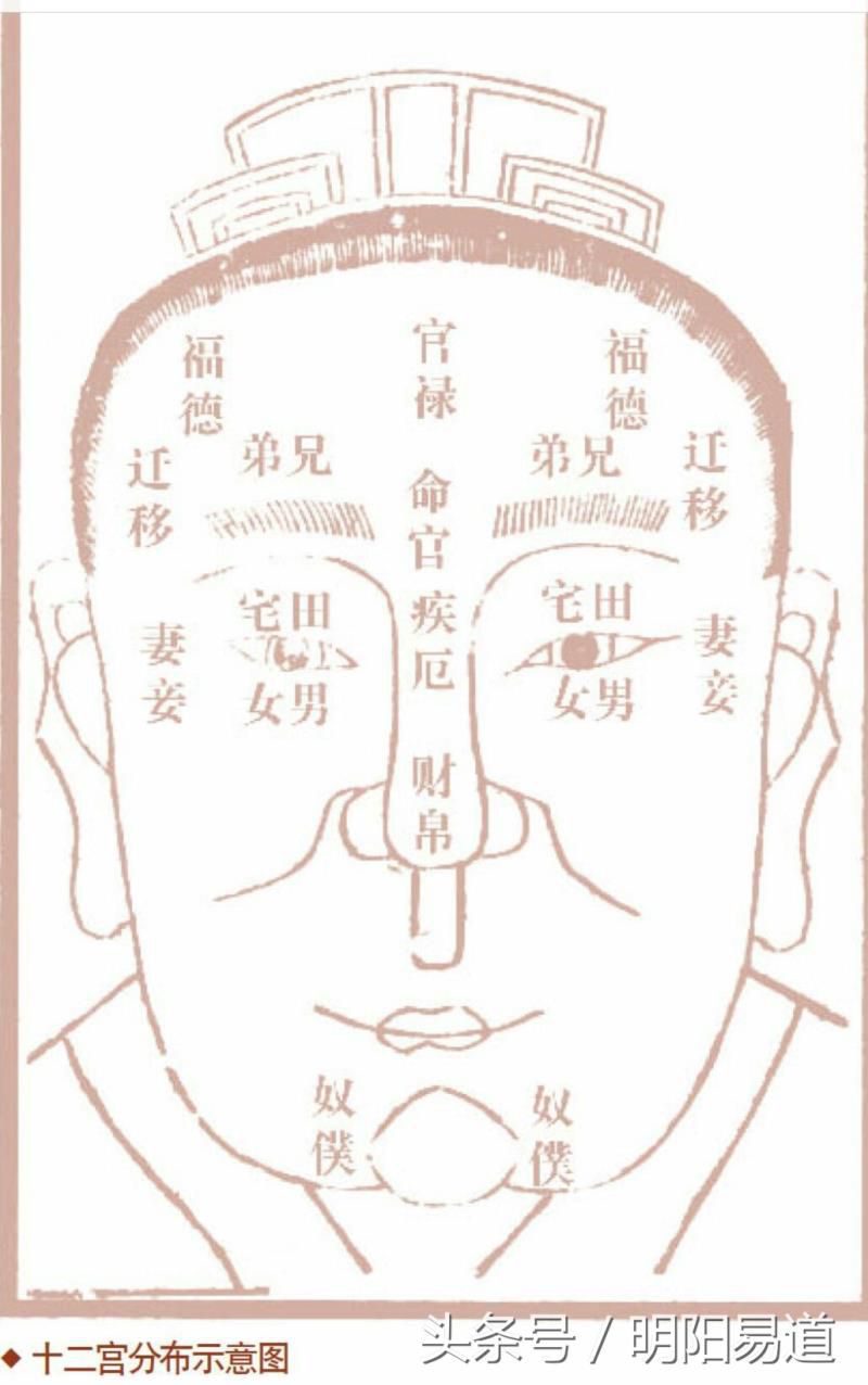 秒懂面相：十二宫看福祸吉凶（下）