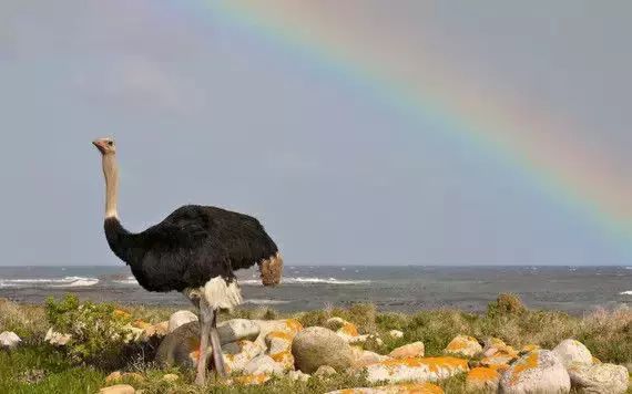 从你的生日看你是怎样的一个人！准得可怕！
