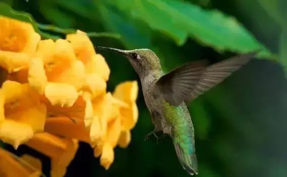 从你的生日看你是怎样的一个人！准得可怕！