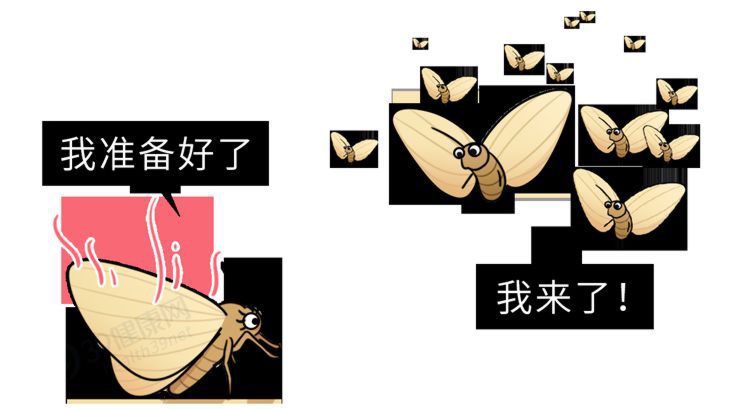 一闻就让人意乱情迷的“催情水”，真的存在吗？靠谱答案来了