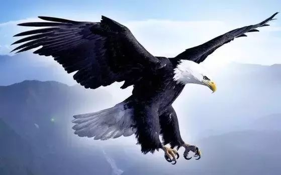 从你的生日看你是怎样的一个人！准得可怕！