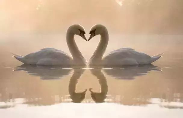 从你的生日看你是怎样的一个人！准得可怕！