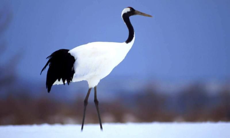 从你的生日看你是怎样的一个人！准得可怕！