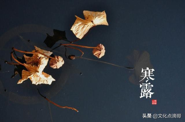 十二生肖和二十四节气有什么关系？