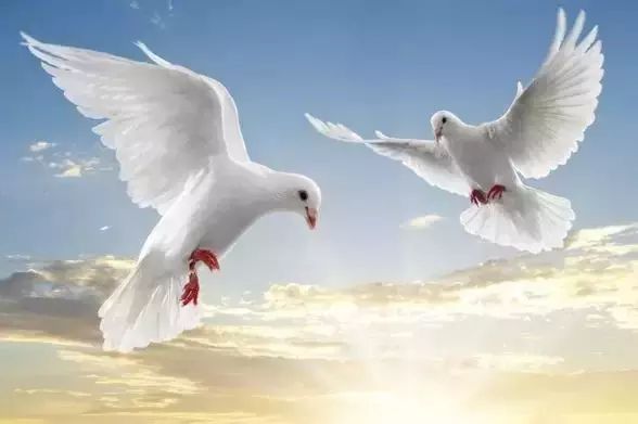 从你的生日看你是怎样的一个人！准得可怕！