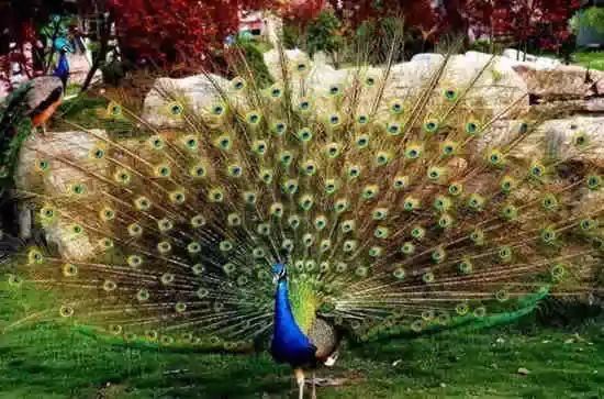 从你的生日看你是怎样的一个人！准得可怕！