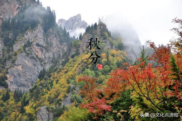 十二生肖和二十四节气有什么关系？