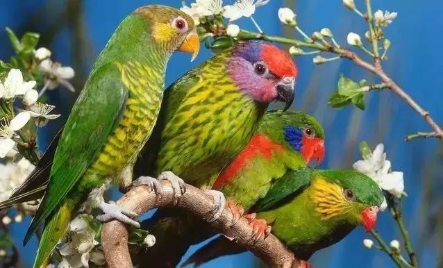 从你的生日看你是怎样的一个人！准得可怕！