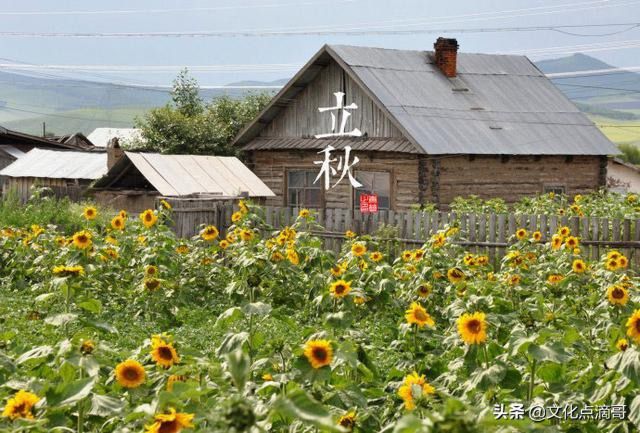 十二生肖和二十四节气有什么关系？