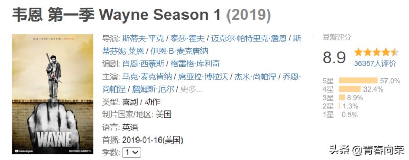 老司机影院：豆瓣均9分！那些敢于跨越禁区的青春系美剧