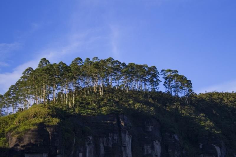 歪歪乐6月30日运势：水瓶运势严峻，射手如履薄冰，天蝎略显低迷