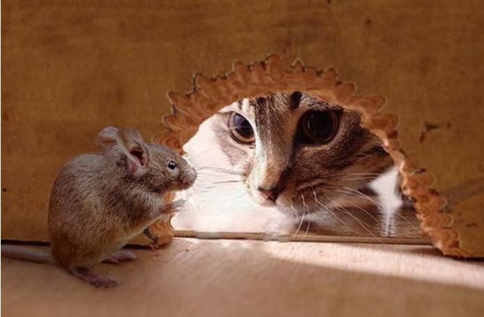 梦见这10种物品，想不发大财都难！