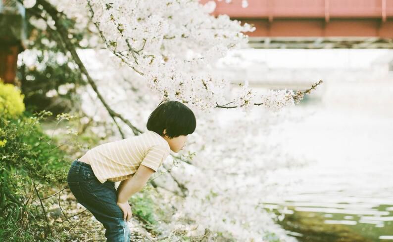 天谕塔罗：水瓶座2022年下半年运势，内心有芥蒂，感情基础不牢固