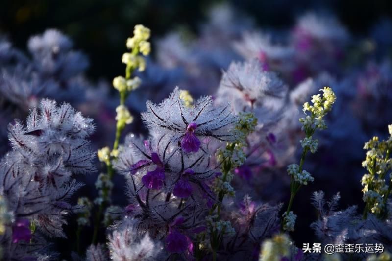 读书最厉害的4大星座，专注认真还勤奋，成绩都是最优秀的那一个