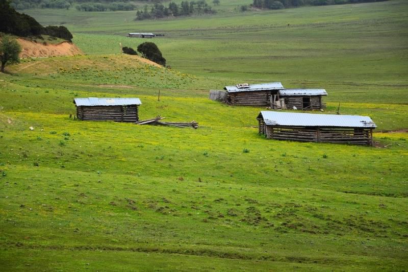 歪歪乐6月30日运势：水瓶运势严峻，射手如履薄冰，天蝎略显低迷