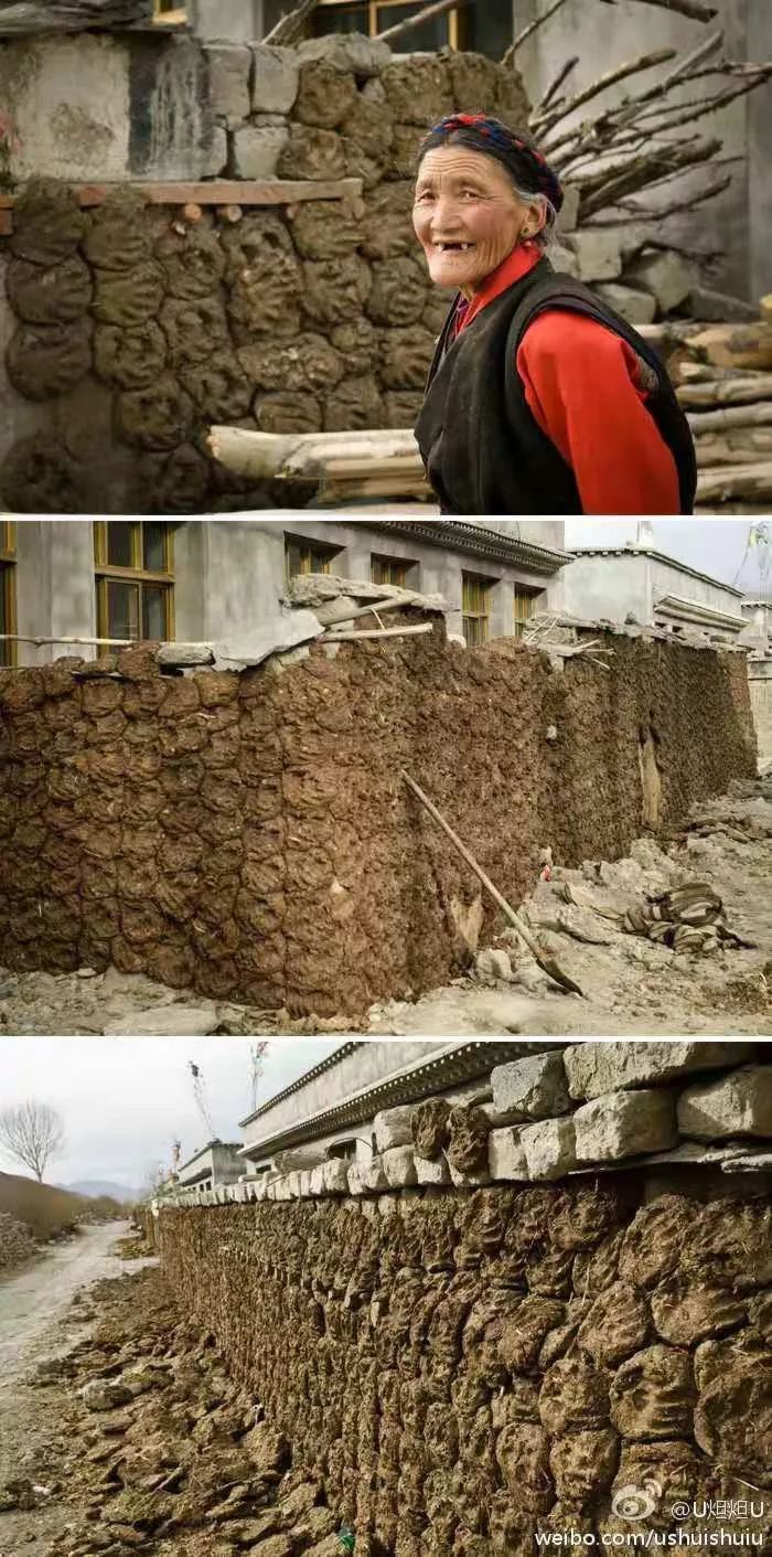 牛粪居然可以用来炫富？据说连金子都能被它比下去