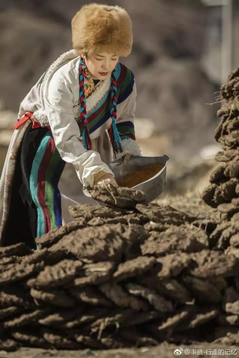 牛粪居然可以用来炫富？据说连金子都能被它比下去