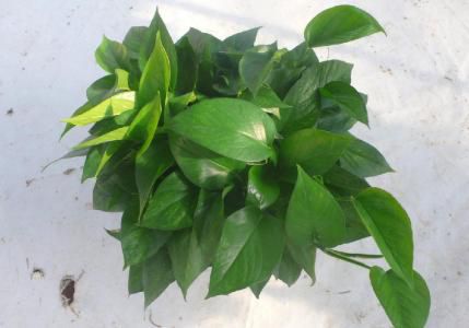 家中空调常识，别吹乱了家中风水