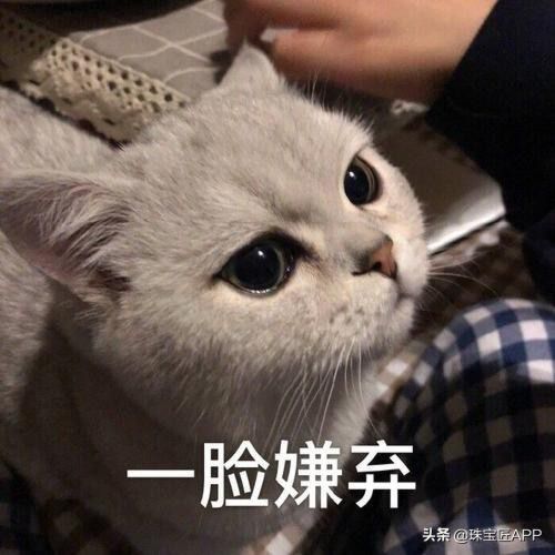 可怜的“背锅”侠？并不黄的“赛黄晶”，为啥忽然风靡珠宝圈？