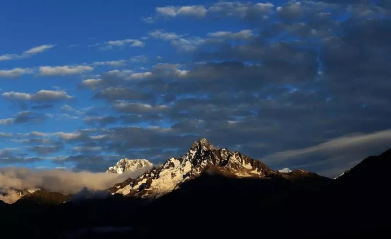 牛粪居然可以用来炫富？据说连金子都能被它比下去