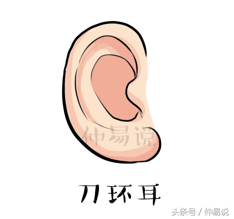 耳朵形状，看你一生的财富、事业有多大？