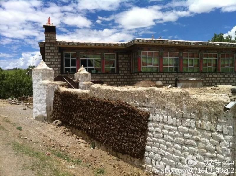 牛粪居然可以用来炫富？据说连金子都能被它比下去