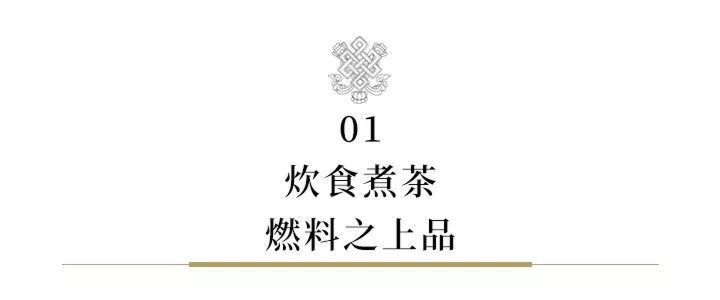 牛粪居然可以用来炫富？据说连金子都能被它比下去