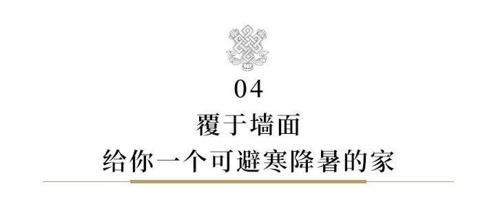 牛粪居然可以用来炫富？据说连金子都能被它比下去
