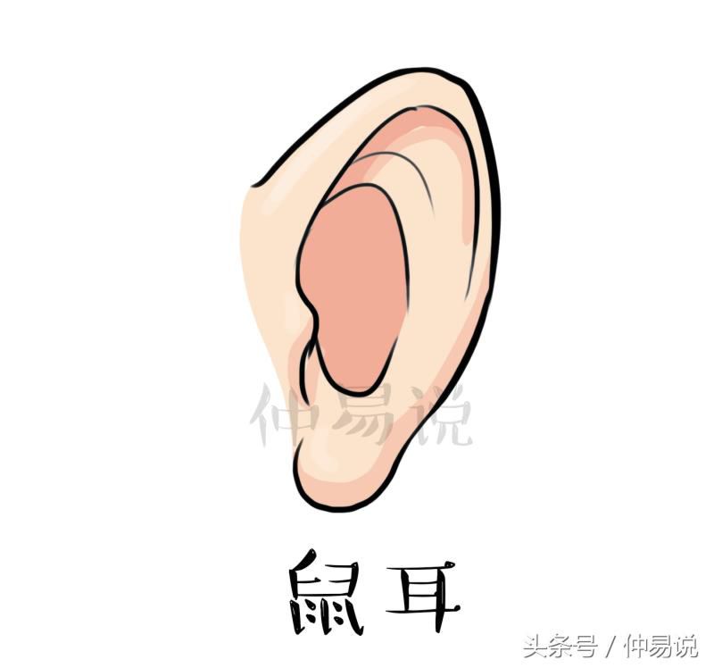 耳朵形状，看你一生的财富、事业有多大？