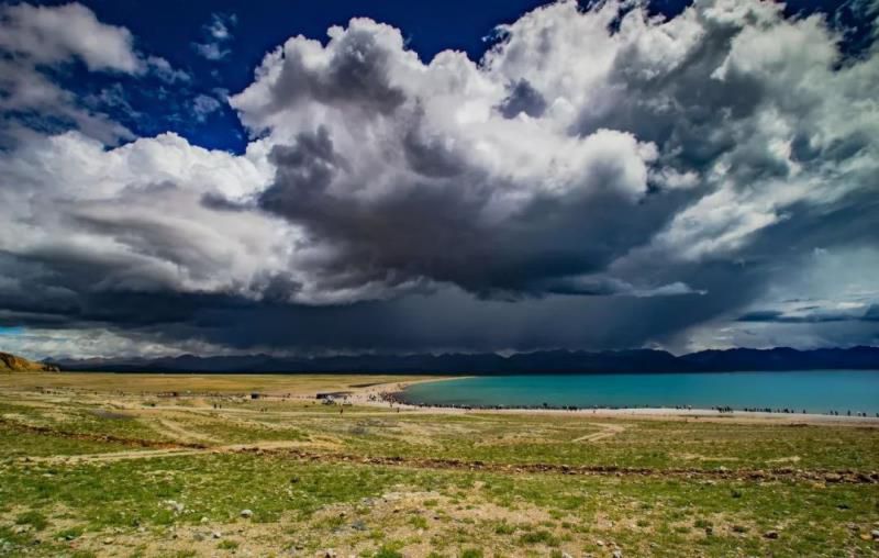 牛粪居然可以用来炫富？据说连金子都能被它比下去