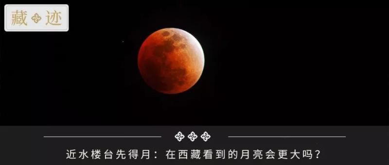 牛粪居然可以用来炫富？据说连金子都能被它比下去