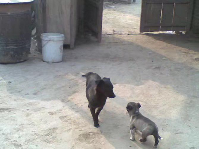 梦是一个光怪陆离的世界，胎梦更是一个神奇的存在