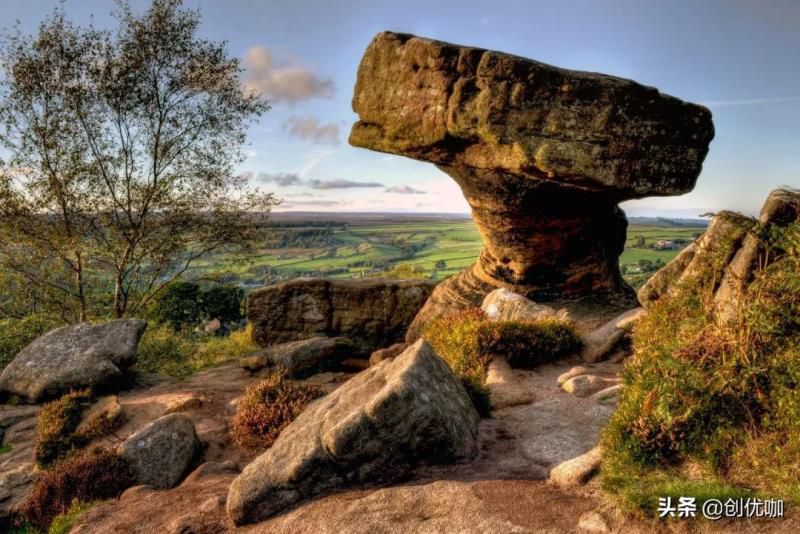 下周，属鼠、牛、龙运势提点，不怕吃亏，智勇双全，闯出一片天地