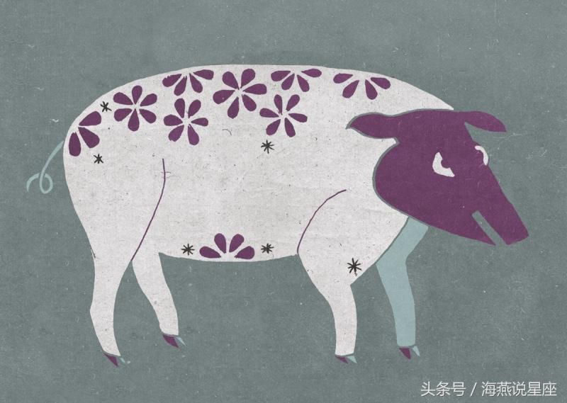 十二生肖喜欢什么天气？生肖猴竟然喜欢夜晚！