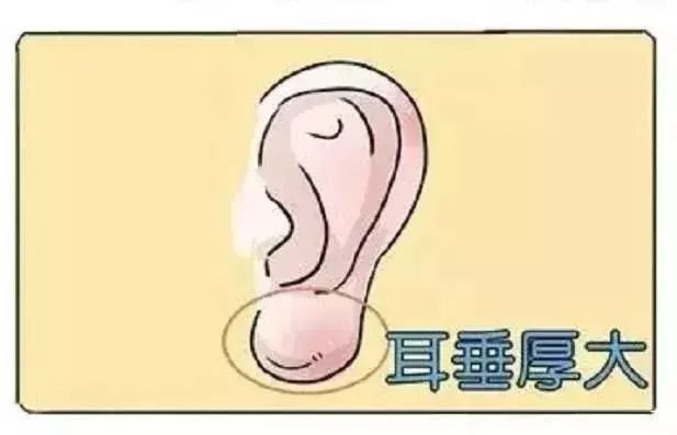 这8种女人最有福，十之八九都是享福命，旺夫到老！看看