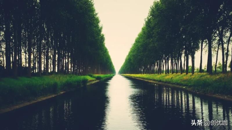 下周，属鼠、牛、龙运势提点，不怕吃亏，智勇双全，闯出一片天地